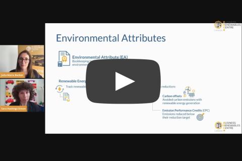 What are Environmental Attributes?